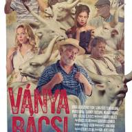 Ványa bácsi - Buborékkeringö